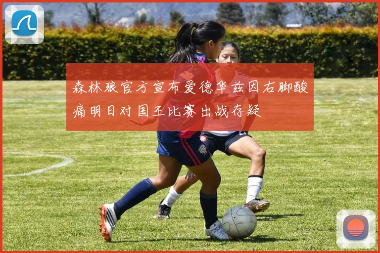 森林狼官方宣布爱德华兹因右脚酸痛明日对国王比赛出战存疑