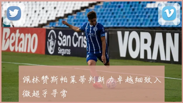 佩林赞斯帕莱蒂判断力卓越细致入微超乎寻常