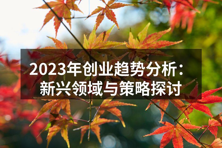 2023年创业趋势分析：新兴领域与策略探讨